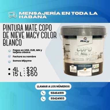 馃帹 PINTURAS DE VINIL DE VARIOS MODELOS PARA DECORAR INTERIORES Y EXTERIORES 馃 BLANCO 馃敶 DESDE LOS 18 USD HASTA LOS 78 - Img 114704272