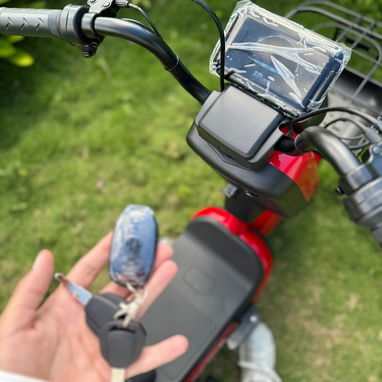 PATINETA ELÉCTRICA PROEFIX - 5/5