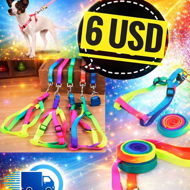 Accesorios para mascotas - Img 116480425