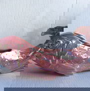 Pez Koi vintage - Img 49690602