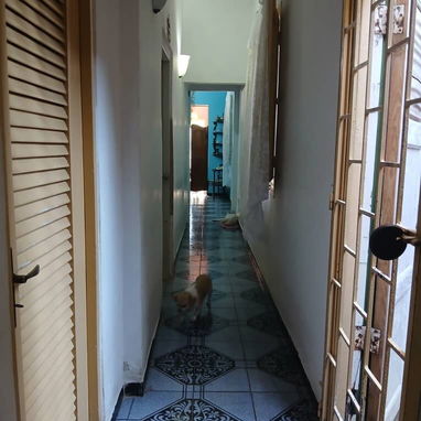 Venta o permuta de casa en Playa con 4 habitaciones ideal para dos familias de 3 niveles. - Img 123409170