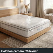 *Colchón camero "Milexus"* * Fuerte y cómodo * Enrollado al vacío en bolsa PVC transparente. * Importado * De 24 a 72 - Img 55956593