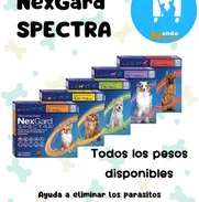 💊NexGard Spectra - Img 50164662