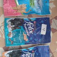 PREMIOS PARA GATOS FÉLIX - Img 57990402