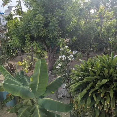 Se vende casa en Guanabo a 300m de la playa - Img 124272084