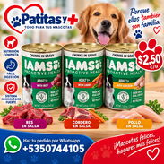 Comida de Perro - Img 57666422