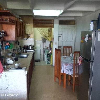 Casa por tulipán - 6/6