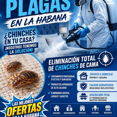 FUMIGACION PARA CHINCHES DE CAMA EN LA HABANA - 3/3