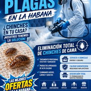 Tienes Chinches Los Eliminamos. Servicio de Fumigación Integral en La Habana - Img 57114997