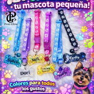 Collar para perros y gatos personalizados - Img 56454532