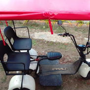 Se vende bicitaxi - Img 58307610