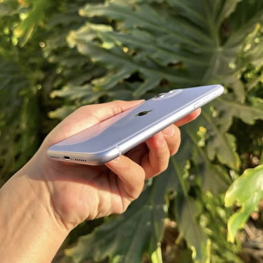 iPhone 11 - Img 124202374