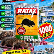 Cebo Pallet para Ratas. - Img 58332382