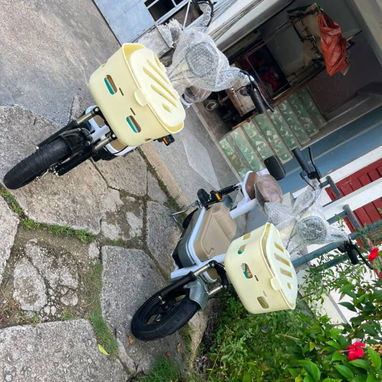 PATINETA MAF 2026 - 6/8