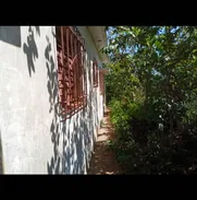 Finca negociable - Img 50598780