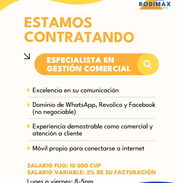 Oferta de empleo MIPYME RODIMAX - Img 55152941