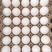 Vendo cartón de huevos - Img 45717050