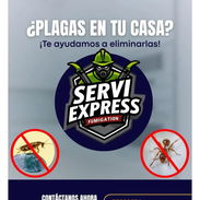 Fumigación en hogares contra las plagas - Img 57823387