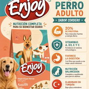 Pienso para perro, pienso para gatos - Img 56449261