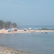 🏖️Negocio de renta de Equipos Nauticos🏖️ - Img 56638552