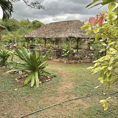 Se busca pareja madura campesina de campo para trabajar en finca - 3/5