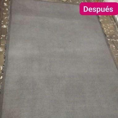 🧼 Limpieza Profesional: Muebles, Autos, Alfombras y Más 🧼 - Img 124202018