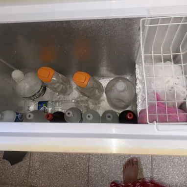 Frezzer 10 pies de uso - 2/2