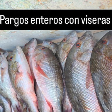 Venta de marisco - Img 118926835