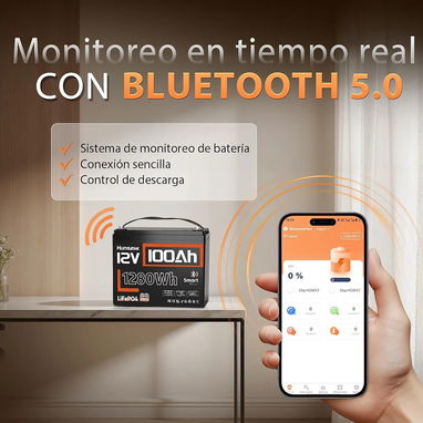 Batería HumsiENK LiFePO4 12V 100Ah Group 24 1280Wh Bluetooth - 2/9