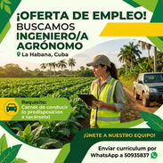 Se busca ingeniero agrónomo - Img 57510005