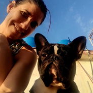 Se busca novia para bulgog frances - Img 56106817