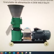 Se vende màquina paletizadora de pienso animal. - Img 55733167