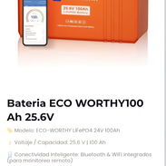 🔋 BATERÍA ECO-WORTHY 25.6V 100Ah - Img 58430535