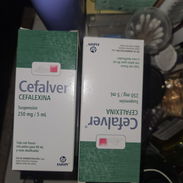 Cefalexina en suspensión - Img 57600232