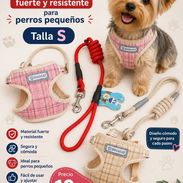 Pechera con correa talla S para perros pequeños - Img 55342555