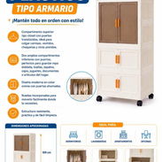 ORGANIZADOR PLÁSTICO TIPO ARMARIO ($40) - Img 56257926