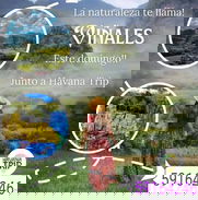 Excursiones y pasadias para usted - Img 49813753