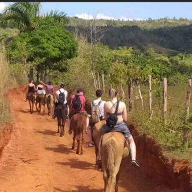 Casa de Renta en Viñales. Alquiler de Casa con vista a Finca Familiar. Con Respaldo eléctrico y wifi - Img 125603191