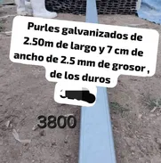 Venta de purle - Img 50816383