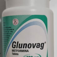 Metformina 500 mg frasco con 60 tabletas - Img 54925263