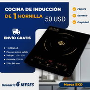 cocina de induccion - Img 56528535