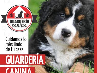 Guardería Canina en el Cerro - Img main-image-45631886
