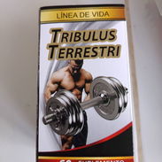 Suplementos Masculinos - Img 54961878