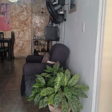 Se vende - 5/10