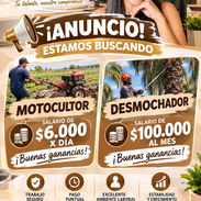 ‼️‼️ESTAS BUSCANDO EMPLEO? ESTA ES TU OPORTUNIDAD ‼️ - Img 57489871