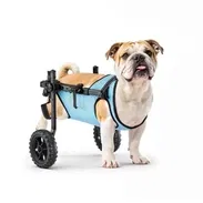 Silla de Ruedas para Mascotas/ Vevor Talla M - Img 57023670