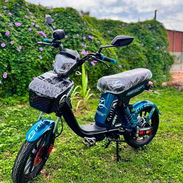 BICIMOTO MISHOZUKI GRILLO PRO MAX 14 GENERACION - Img 56560377