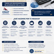 Se oferta servicio de contabilidad/teneduría de libros - Img 57185036