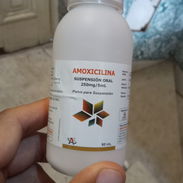 Amoxicilina en suspensión ( 60ml ) - Img 55800496