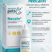 Necain - Img 55409592